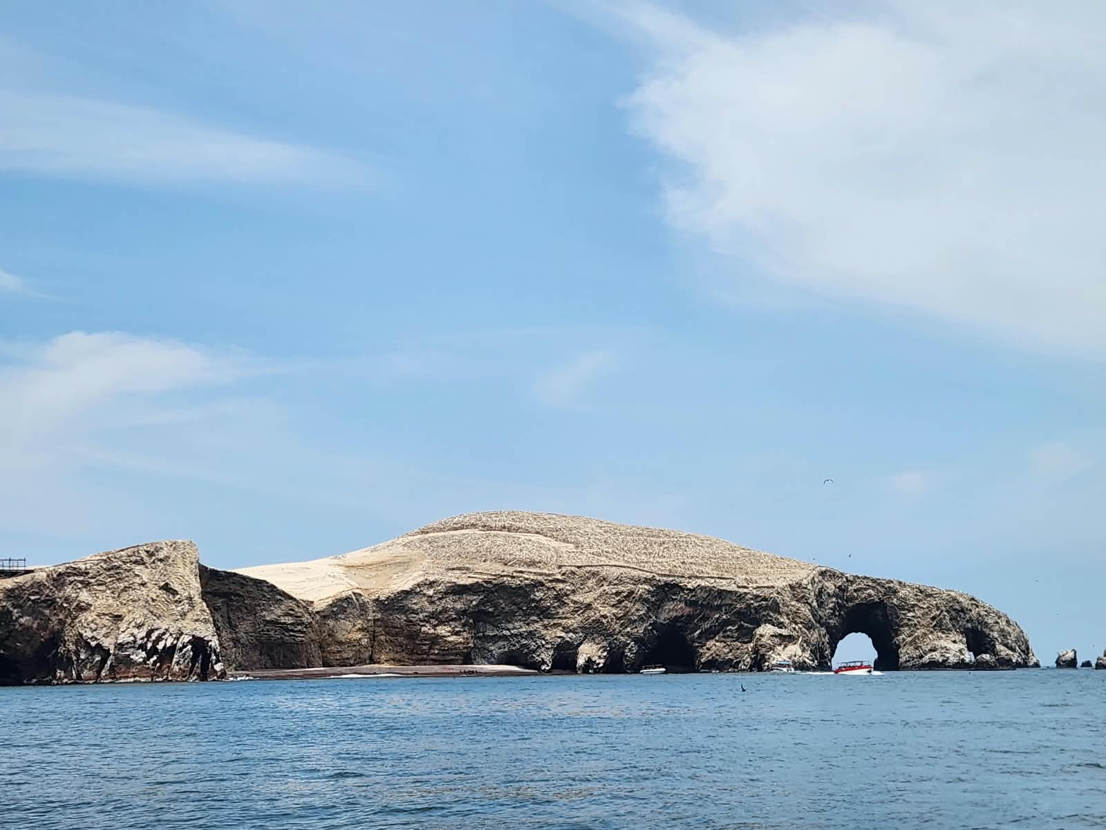 Islas Ballestas y Paracas, Perú