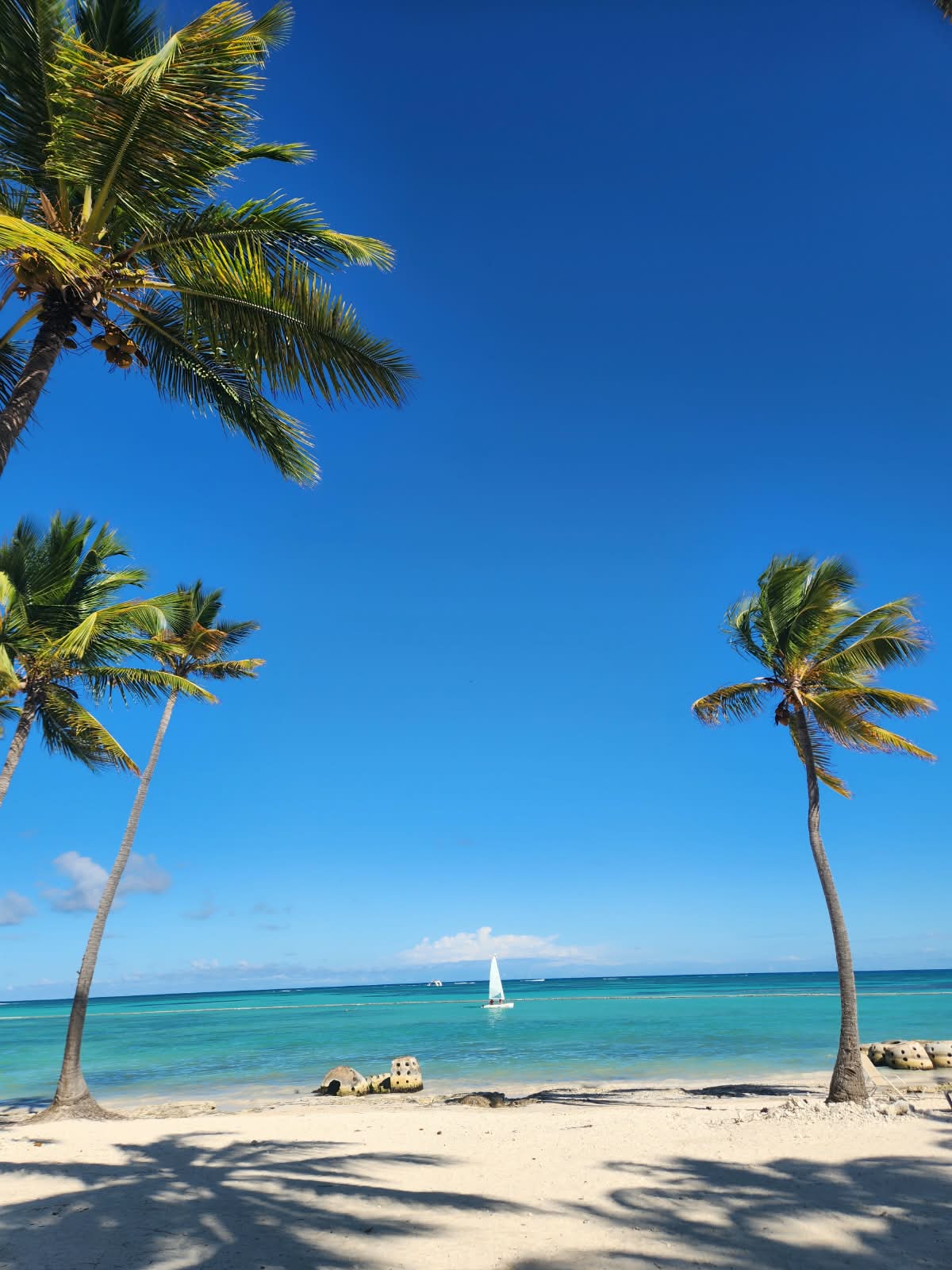 Playa de arena blanca con cocoteros y mar turquesa en Punta Cana, República Dominicana