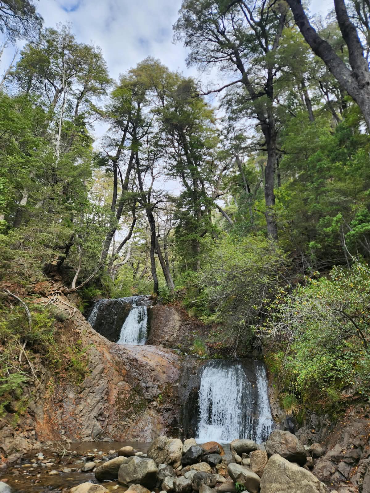 Bosque andino y cascadas, Bariloche, Argentina