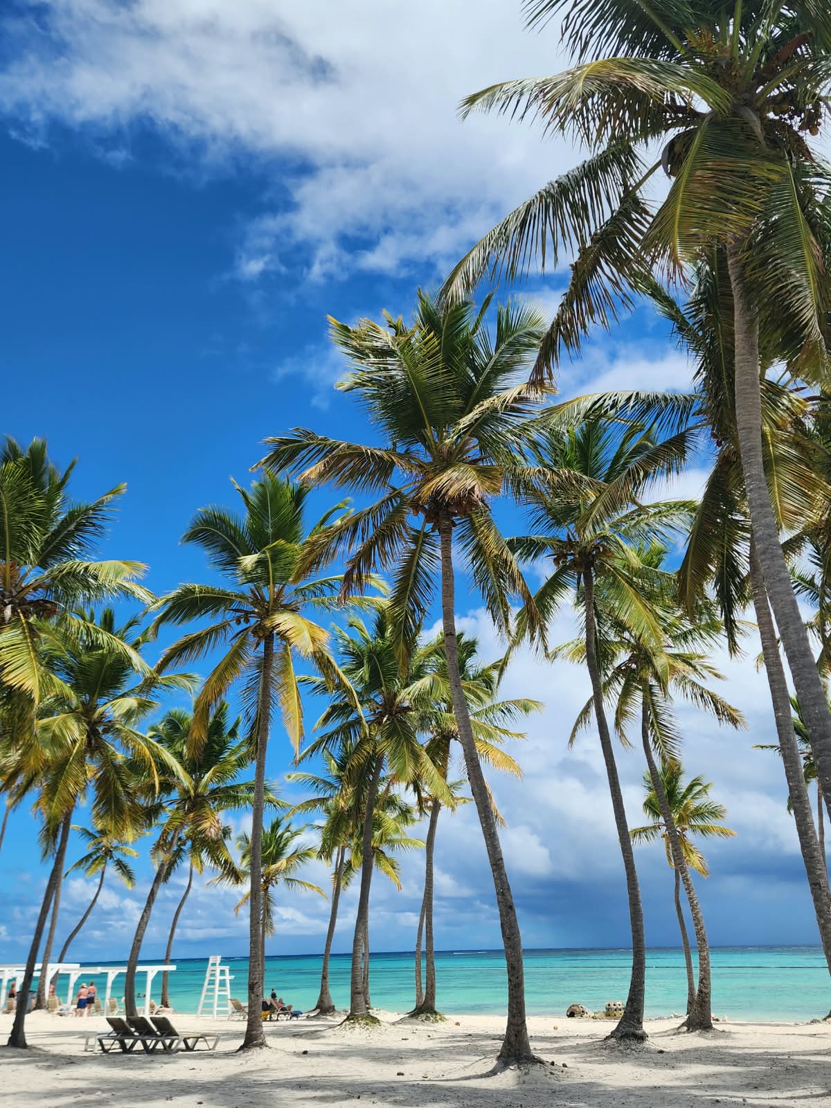 Playa Bávaro y Punta Cana, República Dominicana